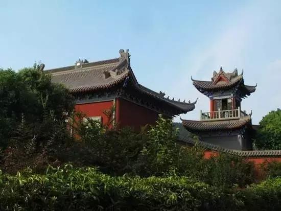 义乌这下要在全世界出名了！