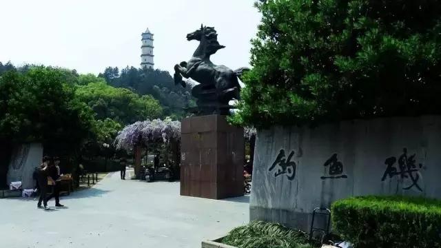 义乌这下要在全世界出名了！