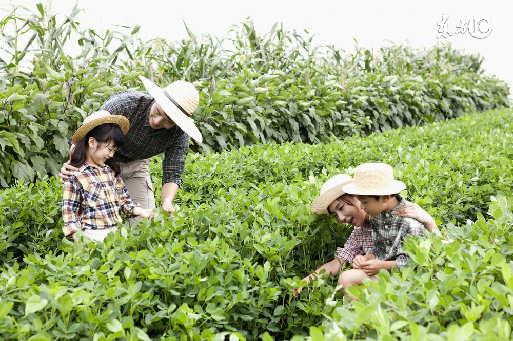 有合作社还可以办理家庭农场吗,有合作社可以申请家庭农场吗