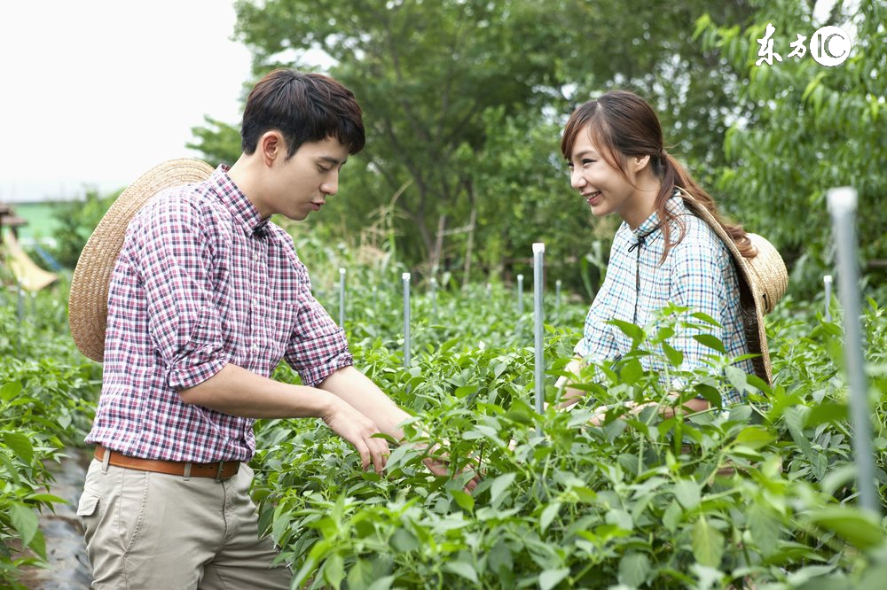 有合作社还可以办理家庭农场吗,有合作社可以申请家庭农场吗