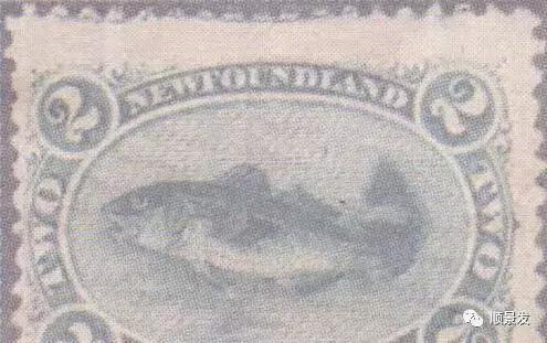 天下渔仓有机鱼,天下渔仓椒江店地址