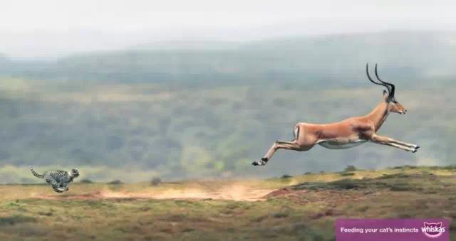 今日创意广告最新分享,简单粗暴创意广告