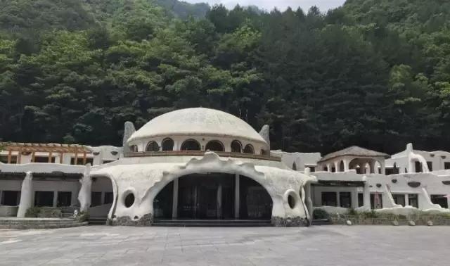 上海疯狂动物城主题酒店,上海迪士尼酒店布置疯狂动物城