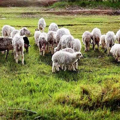 吃了六味地黄丸尿多,吃了六味地黄丸拉尿不出