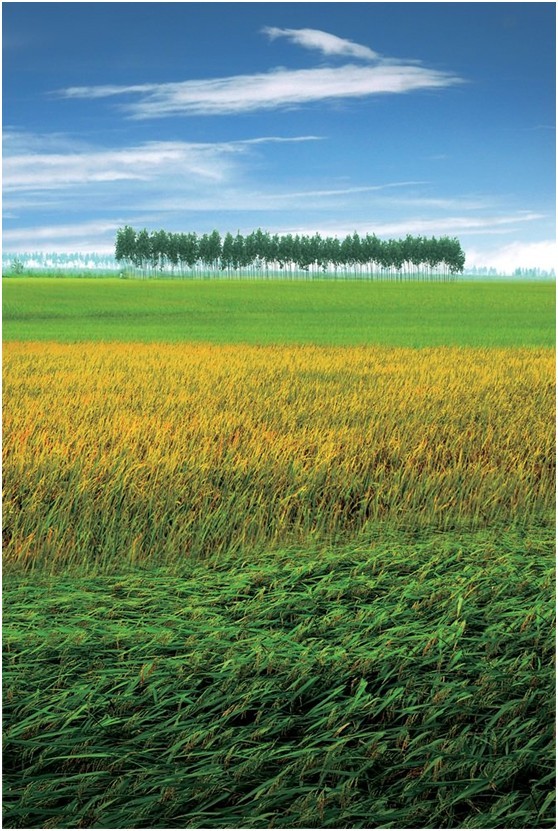 清新之旅，那片秋色处女地