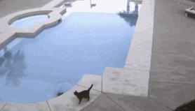 在家如何拔牙最快而且不疼的方法,最快又不痛的在家拔牙方法儿童