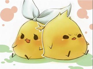 金牛双子座双星座性格,12星座的12种生肖性格