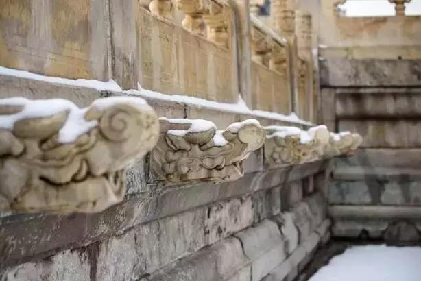 腾龙70-200mmf2.8效果,腾龙sp70-200mmf2.8g2