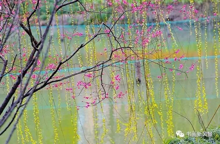 描写春柳春花的古诗词,春柳的诗词有哪些