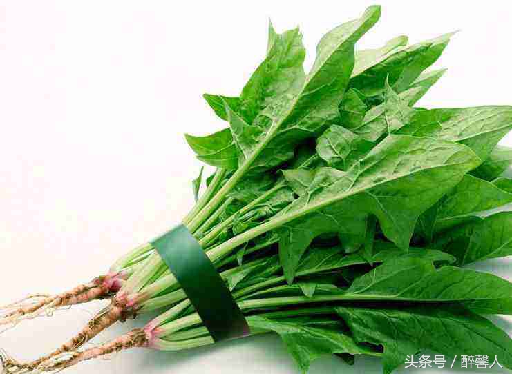 宝宝辅食之春季蔬菜时令篇