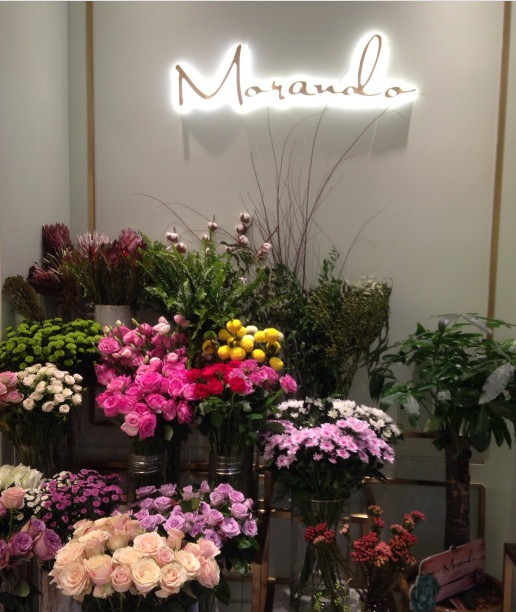 沈阳什么生日蛋糕好吃不腻,沈阳最好吃的蛋糕是哪个