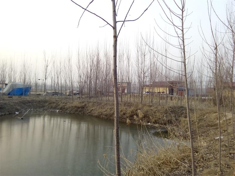 流畅书写平板,流畅剪映的平板