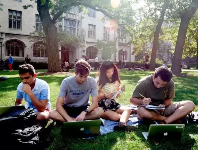 美国学费最贵前十位,美国费用最低的名校