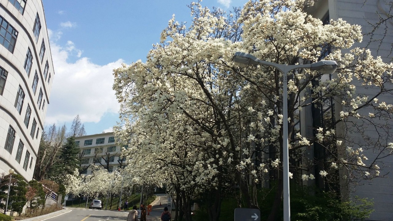 韩国济州岛4天5夜浪漫之旅,韩国首尔半自助游