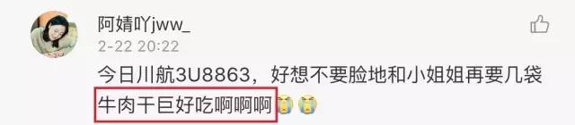 川航最新事件回顾,川航2019飞机迫降事件完整