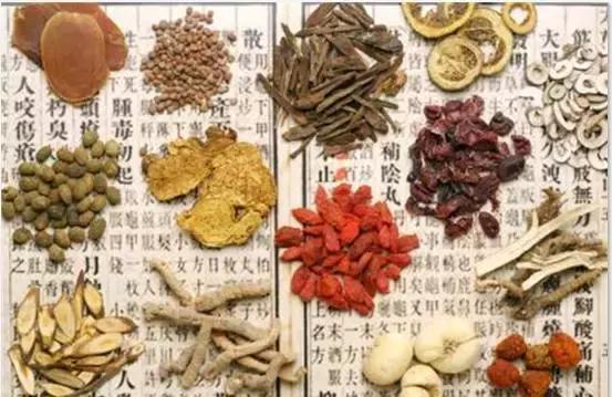 刘虎岐：想种植中草药来赚钱？这些知识点你得先了解！