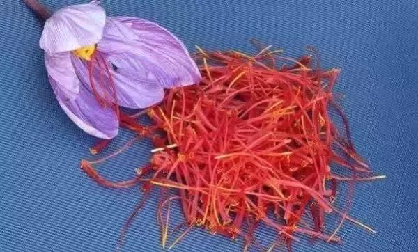 刘虎岐：想种植中草药来赚钱？这些知识点你得先了解！