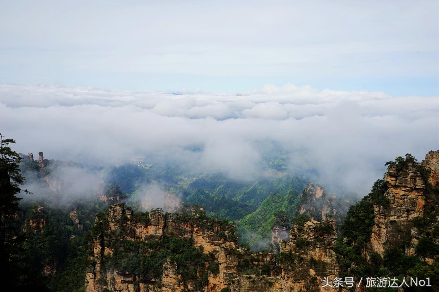 游记张家界8天旅游详细攻略,张家界天门山森林公园美景游记