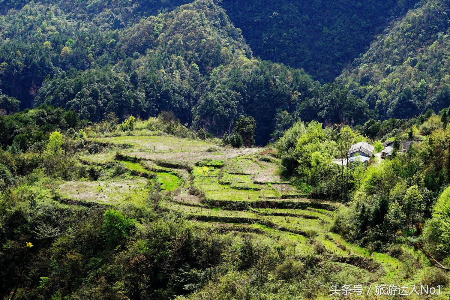 游记张家界8天旅游详细攻略,张家界天门山森林公园美景游记