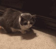 十条笑话:同事家境富裕,玩手游充了4万多