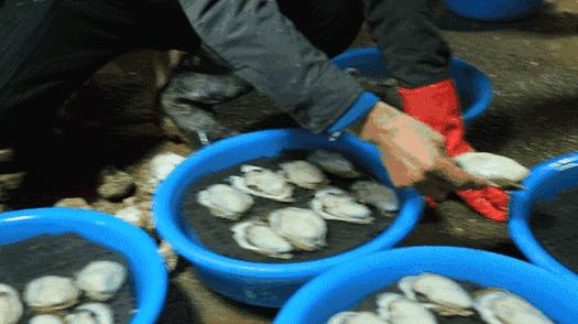 珠海长隆旅游攻略必玩的景点,珠海60岁以上老人免费景点