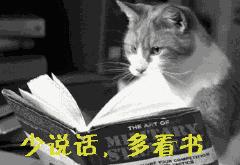 猫咪对着主人喵一声,猫咪对着主人叫但是没声音