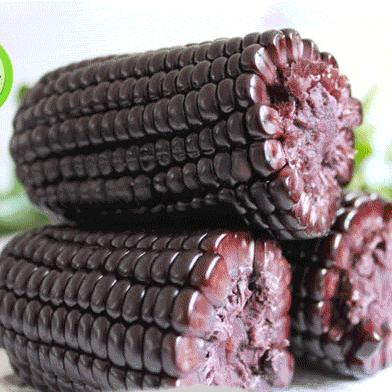 餐桌上常见的本土作物是什么,10种常见的粮食作物