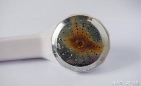 洗澡爽过做SPA！用了这款淋浴神器，才发现洗了20多年假澡！