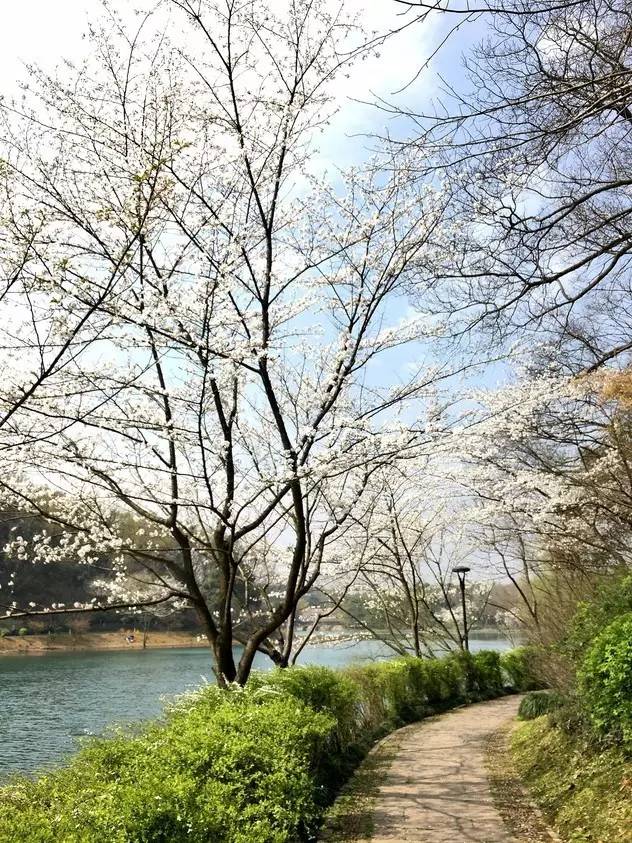 超实用杭州旅行全攻略,杭州攻略推荐