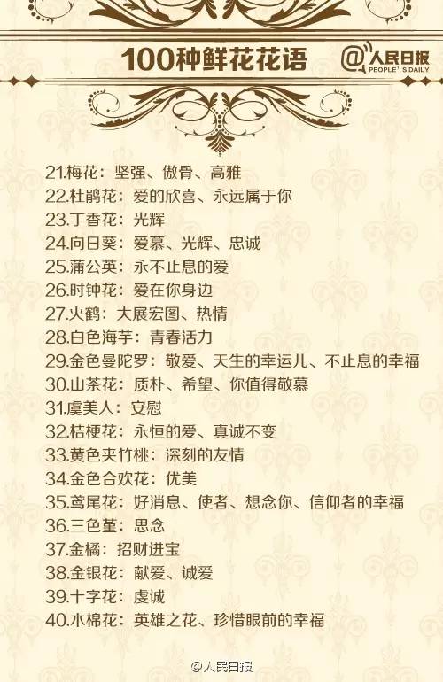 各种鲜花花语介绍大全简短,鲜花介绍花语大全简短一点