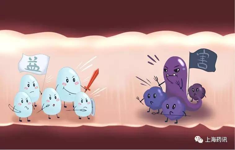 常用微生态制剂及使用注意事项