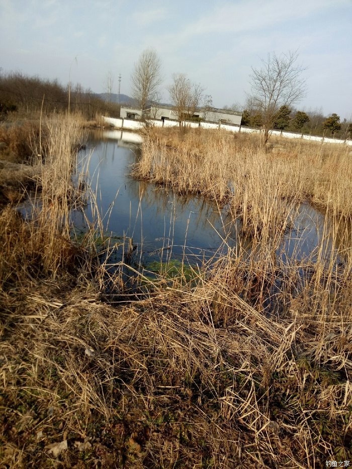 青山荒野垂钓,青山野钓哪里最好玩