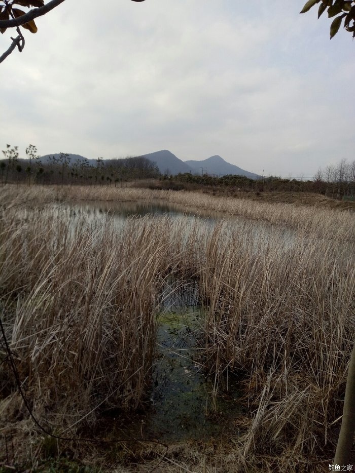 青山荒野垂钓,青山野钓哪里最好玩