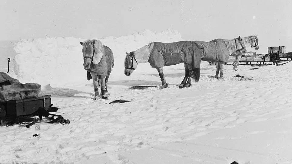 一封来自深海的情书,一封来自雪山的情书