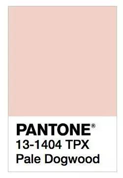 烟熏玫瑰色适合什么唇色,美容裸色口红色号