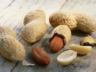 胃是食物养胃好还是中药茶养胃好,养胃食物真的能养胃吗