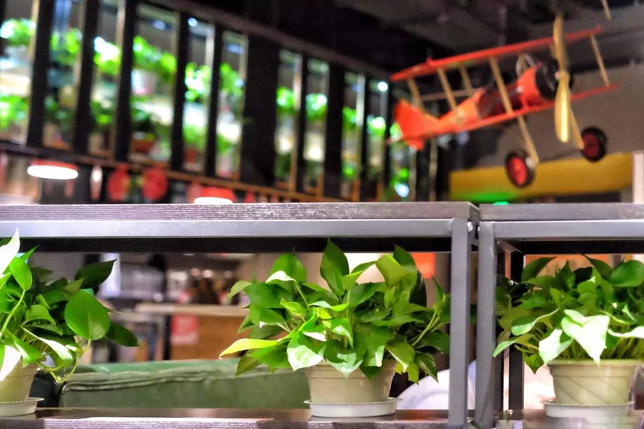 铜锅涮肉为啥不是铁锅,铜锅为啥不能用烧烤炭