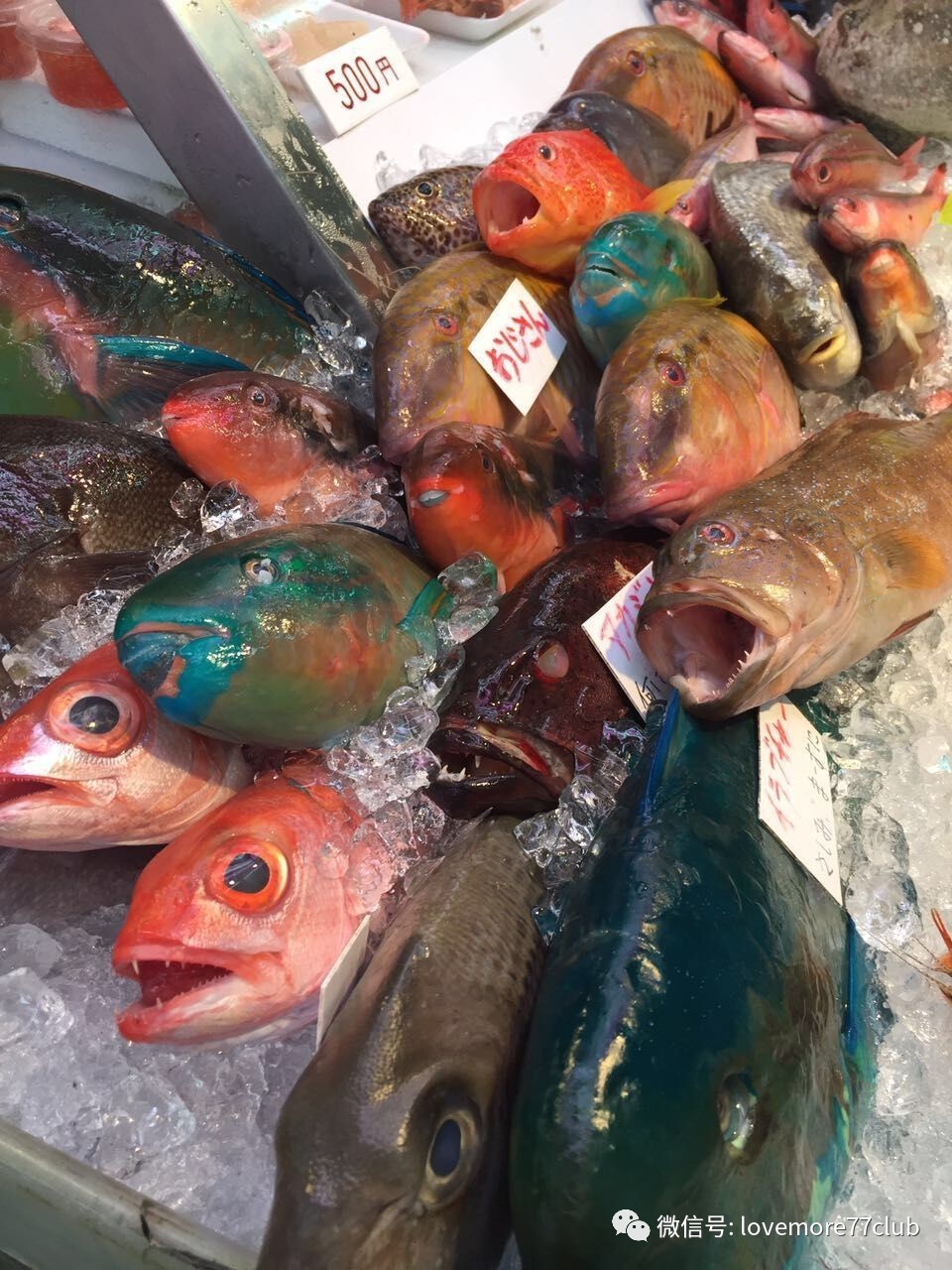 冲绳石垣岛亲子游攻略,冲绳亲子游最佳路线图冬天