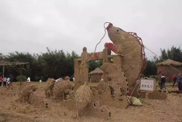 今日关注|您好我叫从化,这是我的最新简历