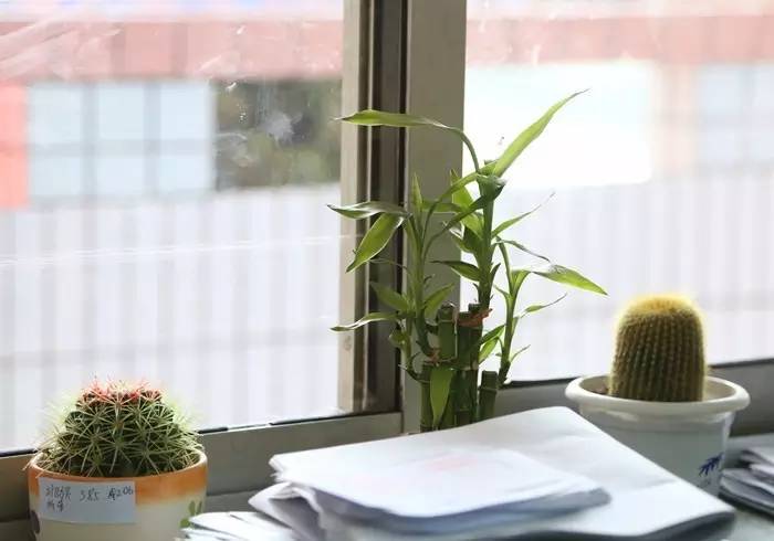 小学生开学教室布置,开学布置教室黑板报