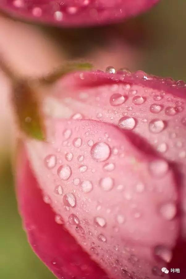 重新认识套装镜头,KitLens的5大好处