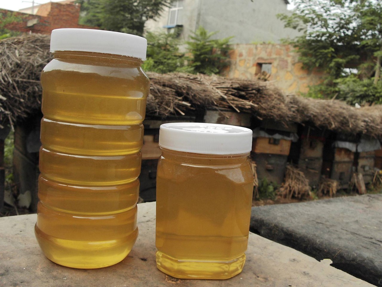 一周内最爆美食,蜂蜜为什么要天天吃甜的