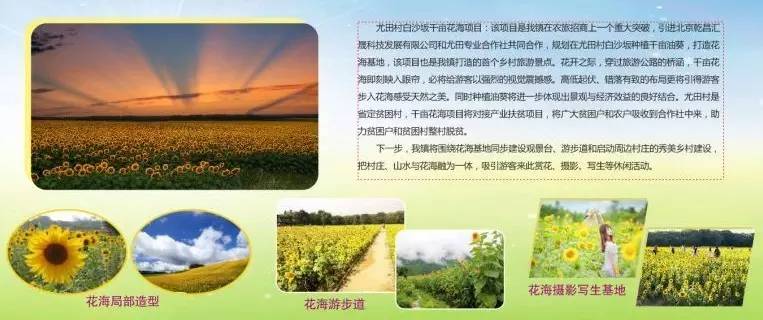 乡镇风采展示,乡镇风采