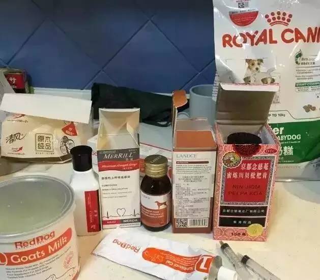 我有犬瘟,但感谢有你!