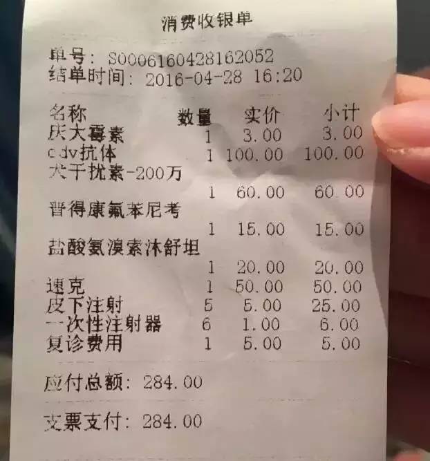 我有犬瘟,但感谢有你!