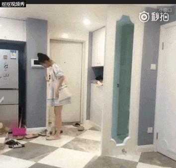 我有犬瘟,但感谢有你!