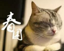 春困夏乏提神茶,春困最好喝的茶