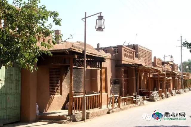 新疆鄯善骆驼,鄯善的骆驼