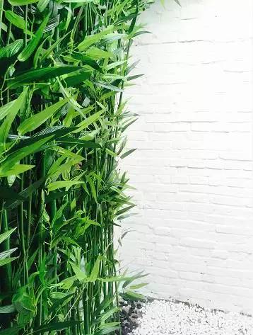 外国小鲜肉只花400元竟然租到了北京二环的房子，然而刚拿到房子的瞬间却差点哭了出来