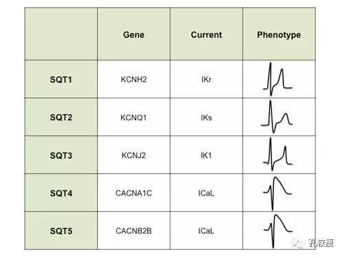 qt和qtc间期正常值范围,qtc间期